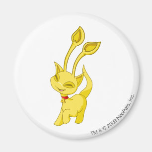 Imã Ouro de Aisha