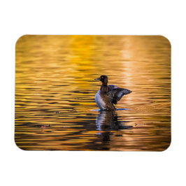 Ímã Ouro de um lago ouro