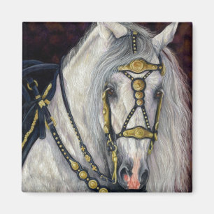 Imã Ouro espanhol - cavalo andaluz