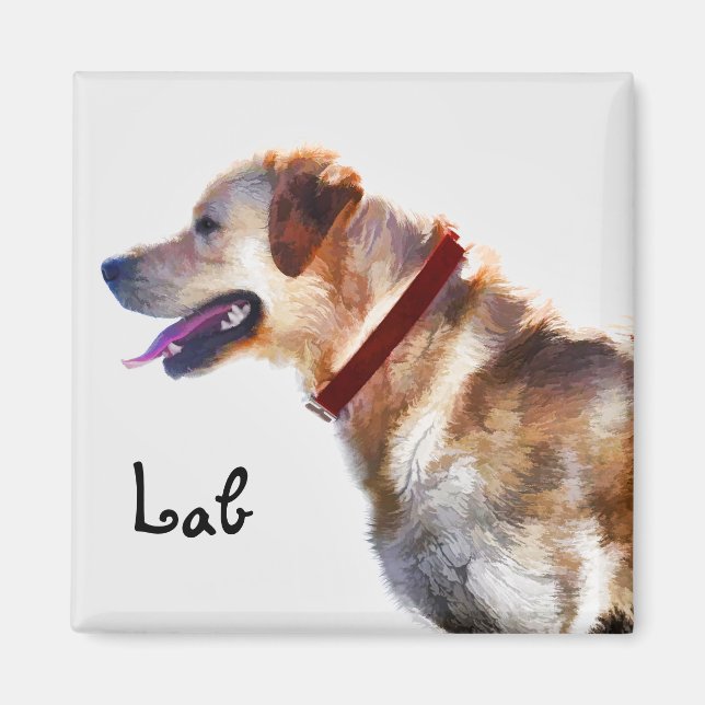 Imã Ouro Labrador Retriever Dog-lover Gift (Frente)