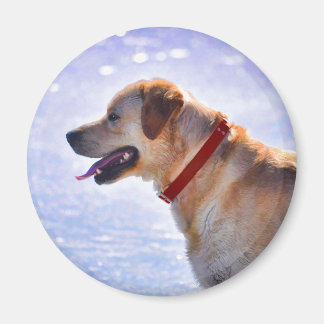 Imã Ouro Labrador Retriever Dog-lover Gift