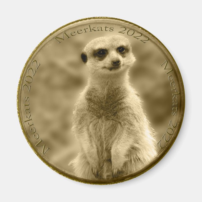 Imã Ouro Meerkat 2022 Moeda, Magneta redonda (Frente)
