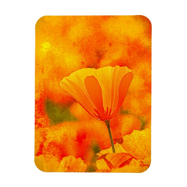 Ímã Ouro Orange California Poppy "Land Of Orange" (Vertical)