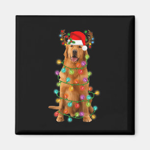 Imã Ouro Retriever Árvore de Natal Luz Pajama