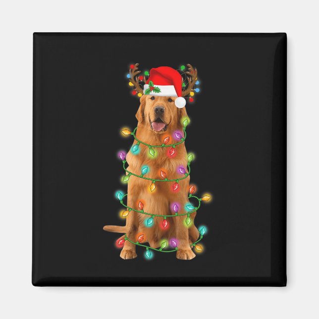 Imã Ouro Retriever Árvore de Natal Luz Pajama (Frente)
