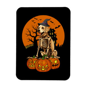 Ímã Ouro Retriever Dog Halloween