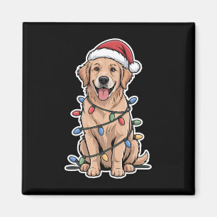 Imã Ouro Retriever Embalado Em Luzes De Natal