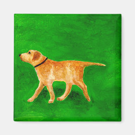 Imã Out Walking the Dog