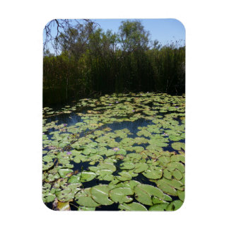Ímã Outback Lily Pads Fotografia Flexível