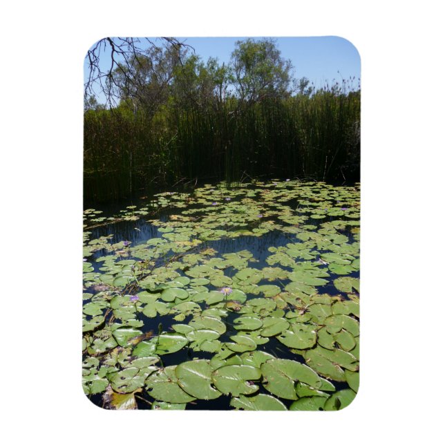 Ímã Outback Lily Pads Fotografia Flexível (Vertical)