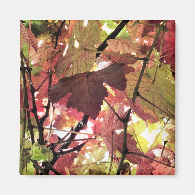 IMÃ OUTONO (Frente)