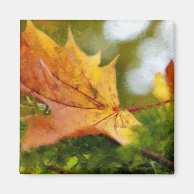 Imã Outono (Frente)