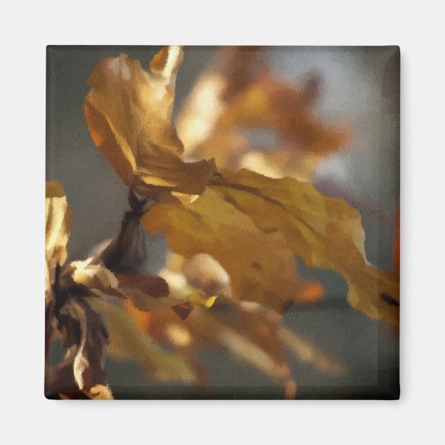 Imã Outono (Frente)