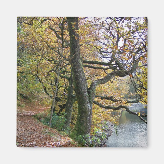 IMÃ OUTONO (Frente)