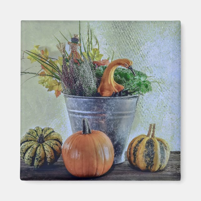 Imã Outono ainda vive com abóboras, flores (Frente)