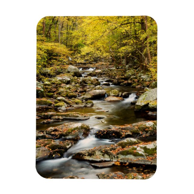 Ímã Outono em Big Creek (Vertical)