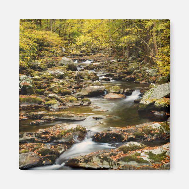 Imã Outono em Big Creek (Frente)