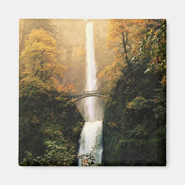 Imã outono em Multnomah Falls, OU (Frente)
