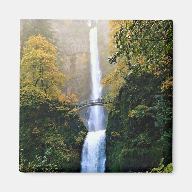 Imã outono em Multnomah Falls, OU (Frente)
