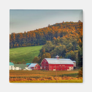 Imã outono em New Hampshire