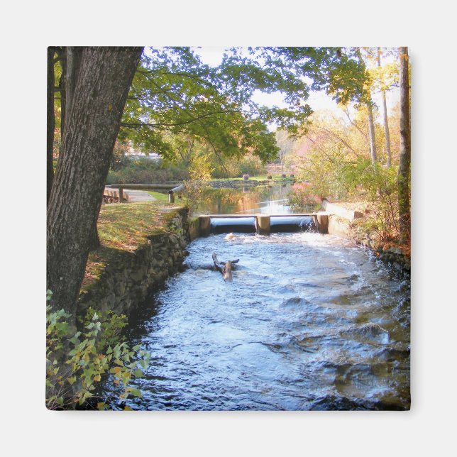 Imã Outono em Nova Inglaterra (Frente)