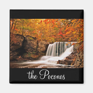 Imã Outono em quedas da fábrica