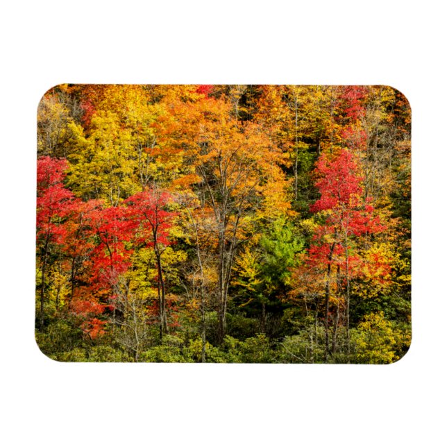 Ímã Outono em Sims Pond North Carolina, Blue Ridge (Horizontal)