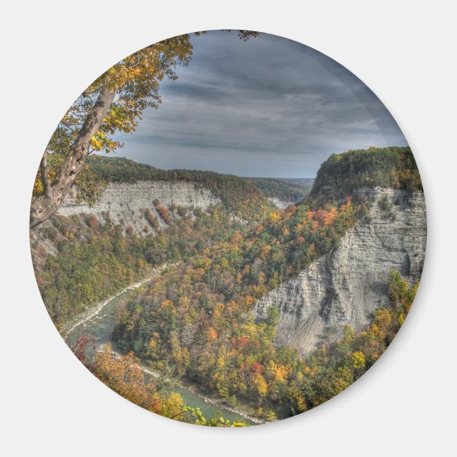 Imã Outono No Grande Magneta (Frente)