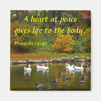 Imã Outono no Pock Pond