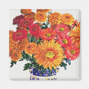 Imã Outubro Chrysanthemum