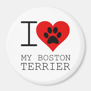 IMÃ OUVI MEU TERRIER BOSTON