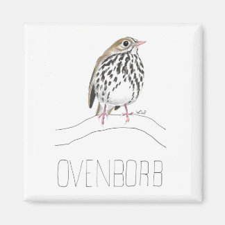Imã Ovenborb (Ovenbird)