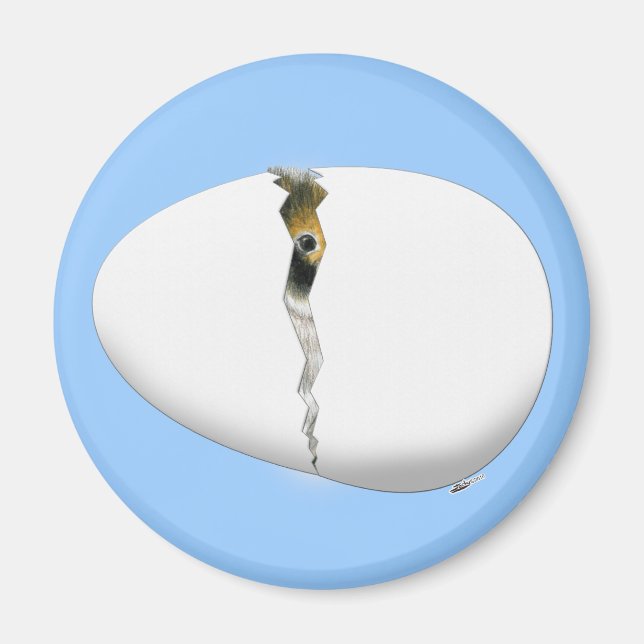 Imã Ovo de Incubação (Frente)