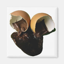 Imã Ovos de chocolate novidade