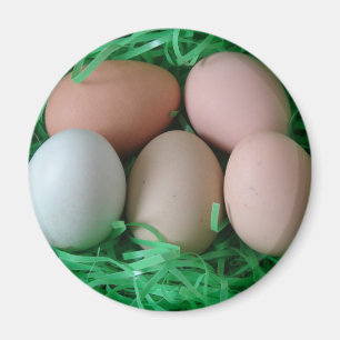 Imã Ovos de frango