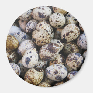 Imã Ovos de Quail