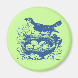 Imã Ovos e ninho de aves da Vintage