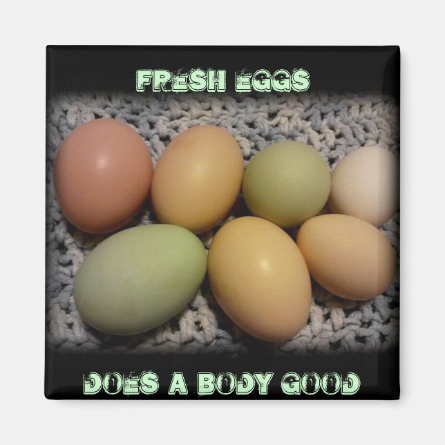 Imã Ovos Faz Um Corpo Bons Magnetos (Frente)