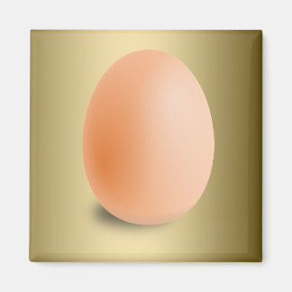 Imã Óvulo muito popular