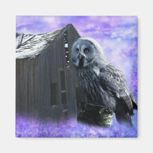 Imã Owl Barn Shed