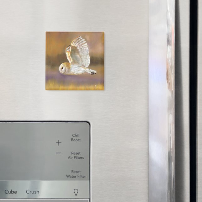 Imã Owl Flying Magnet (In Situ (Fridge))