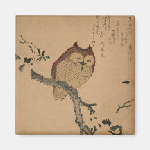 Owl & Magnolia: Imagem Japonesa Ukiyo-e