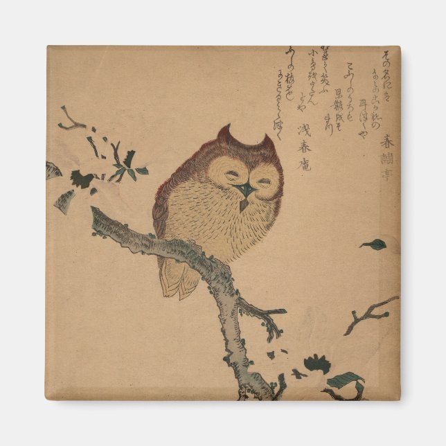 Imã Owl & Magnolia: Imagem Japonesa Ukiyo-e (Frente)