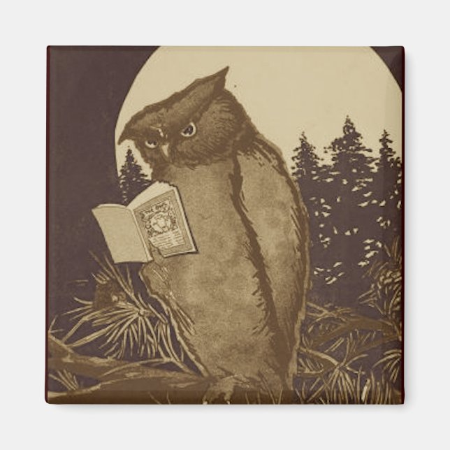 Imã Owl Reading por Moonlight (Frente)