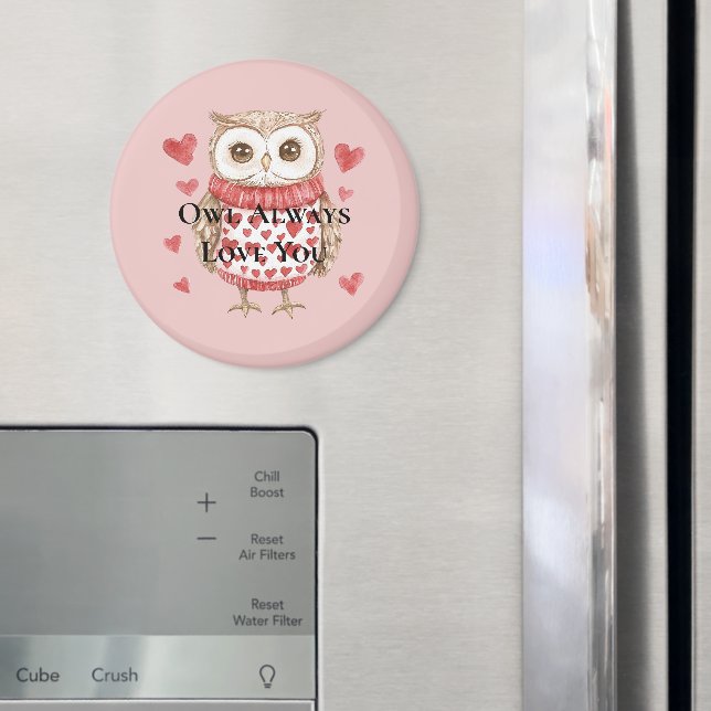 Imã Owl Sempre Te Ama (In Situ (Fridge))