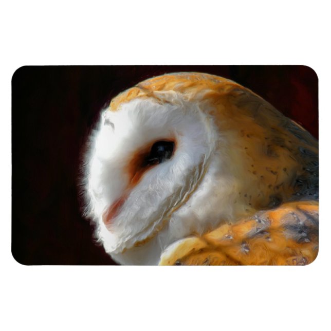 ÍMÃ OWLS (Horizontal)