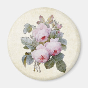Imã P.J. Buquê cor-de-rosa de Redoute Bourbon