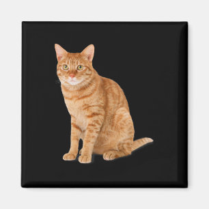 Imã Pá Laranja Gato Engraçado Gato Parody Gift Kit