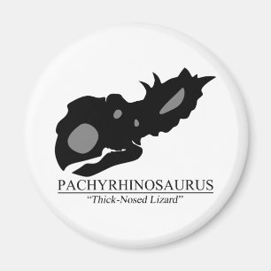 Imã Pachyrhinosaurus crânio