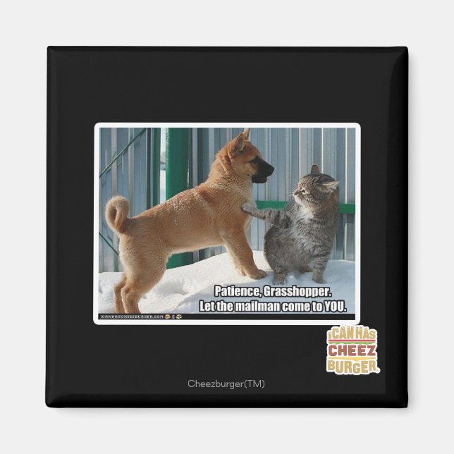 Imã Paciência, Gafanhoto. (Frente)